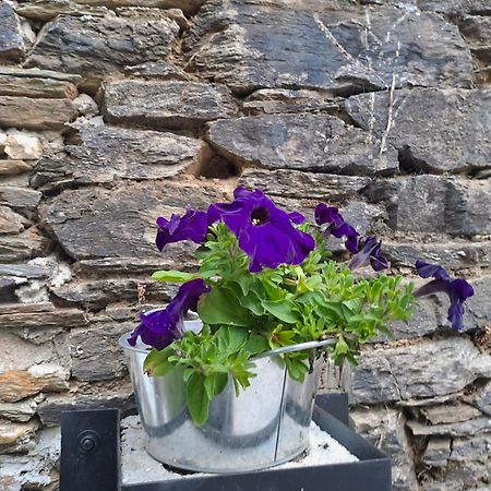 Apartamento Turistico Rural Casa Chain Lugo Exteriér fotografie