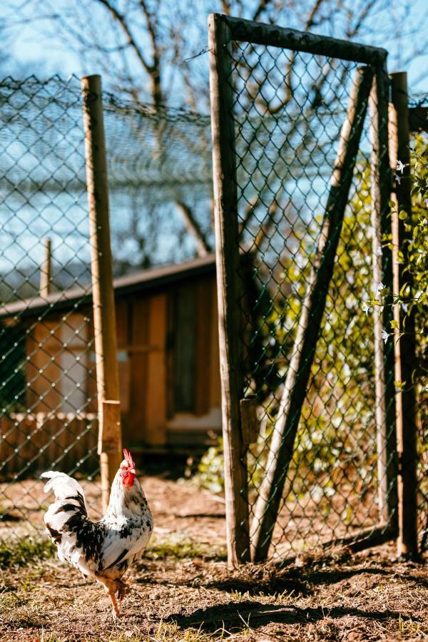 Apartamento Turistico Rural Casa Chain Lugo Exteriér fotografie